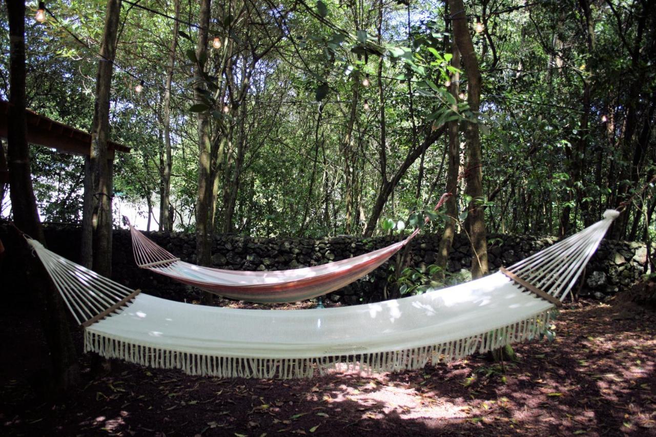 Azores Casa Da Mata Wellness Spa São Vicente Ferreira Zewnętrze zdjęcie